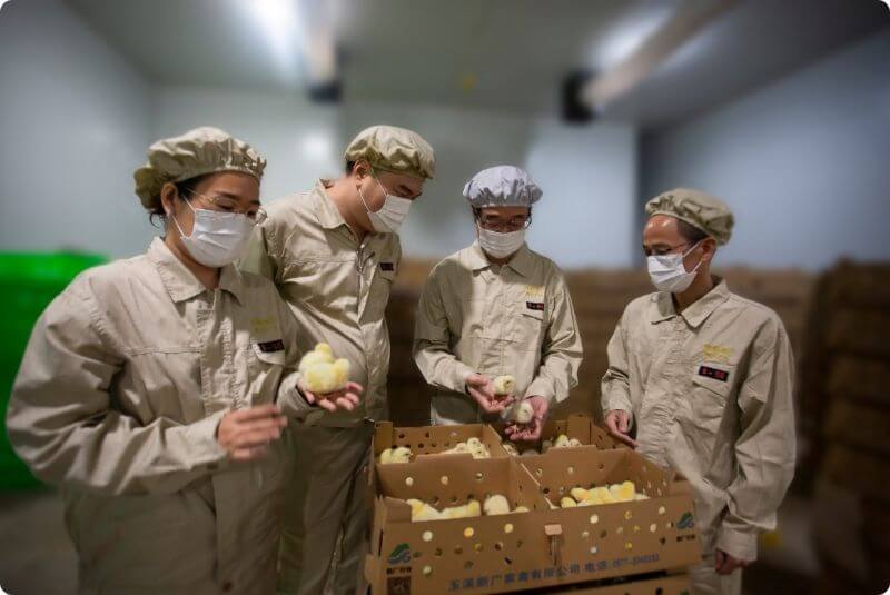 Technology-Driven Breeding · Innovation for the Future