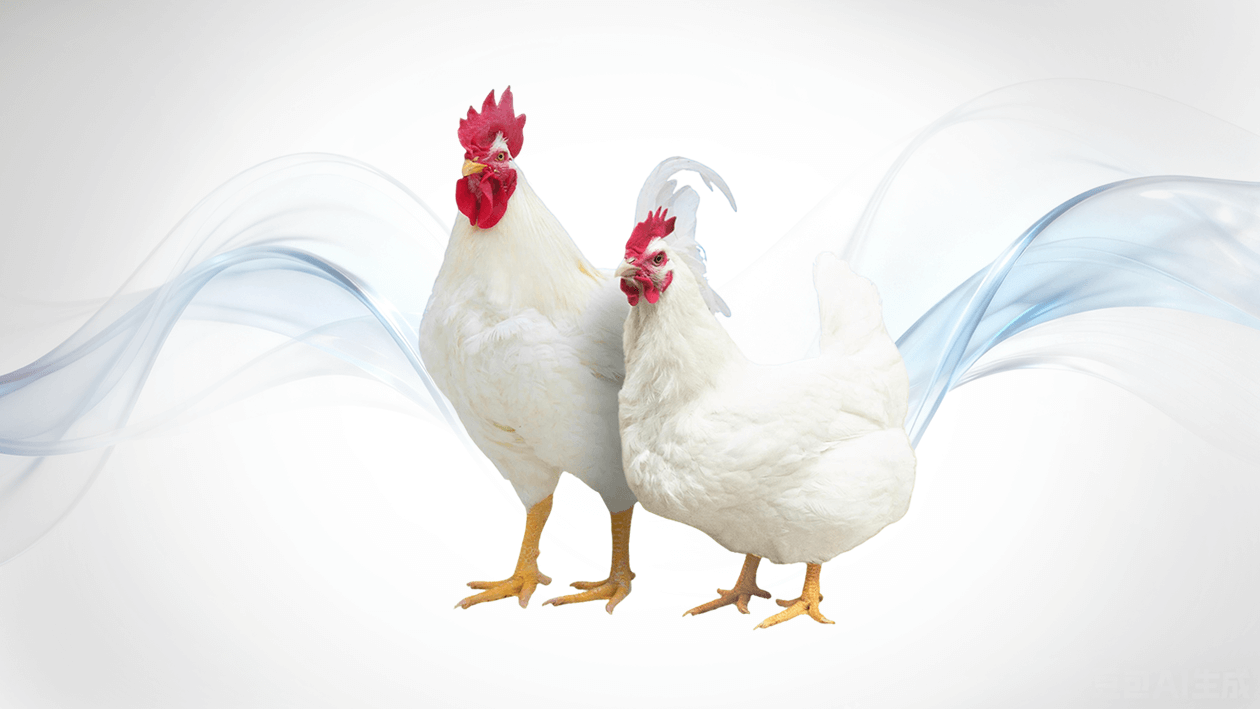 Product Lines Overview