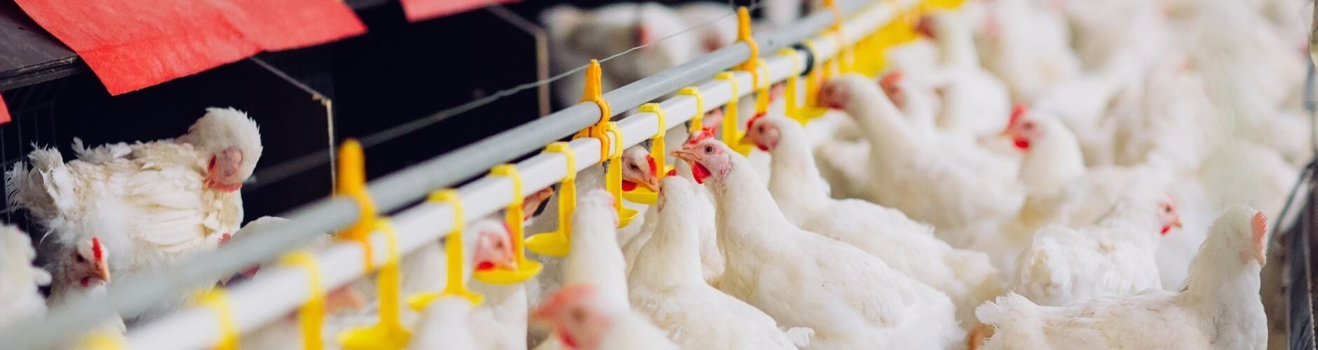 Genomic Research Technology