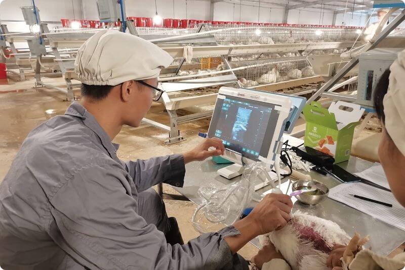 Employee Development