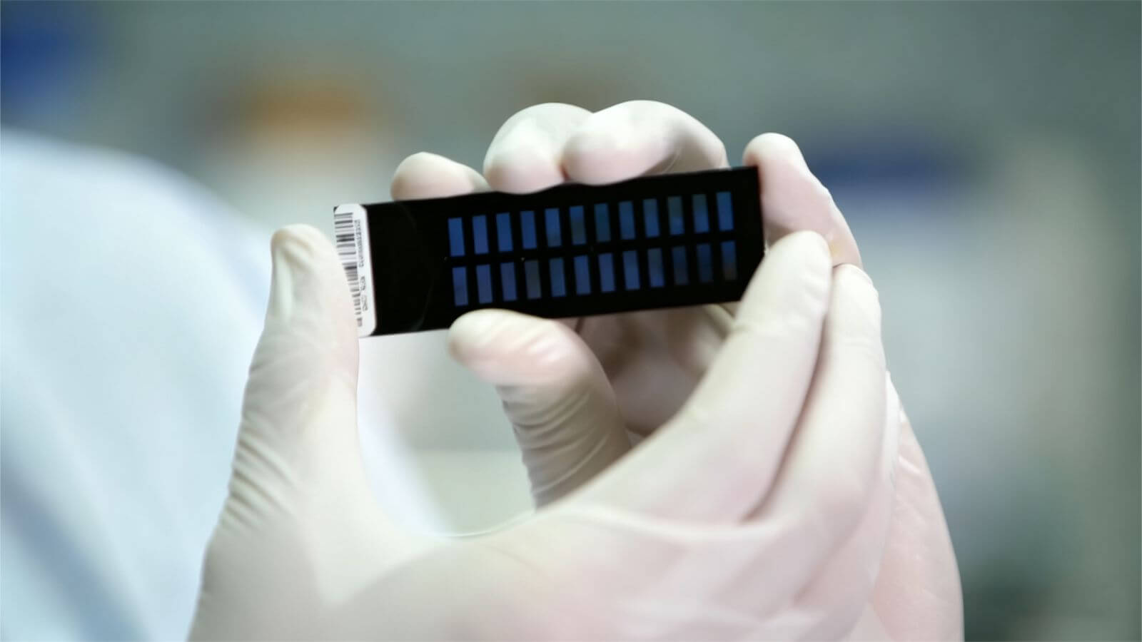 Genomic Chip