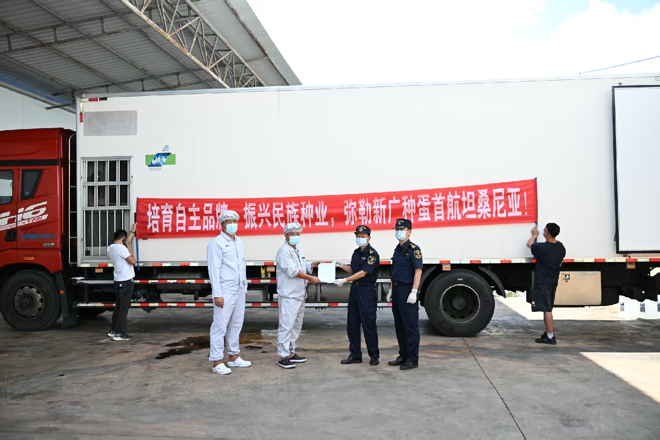   Guangming 2 White-Feather Broiler Parent Stock Hatching Eggs Successfully Exported to Tanzania for the First Time